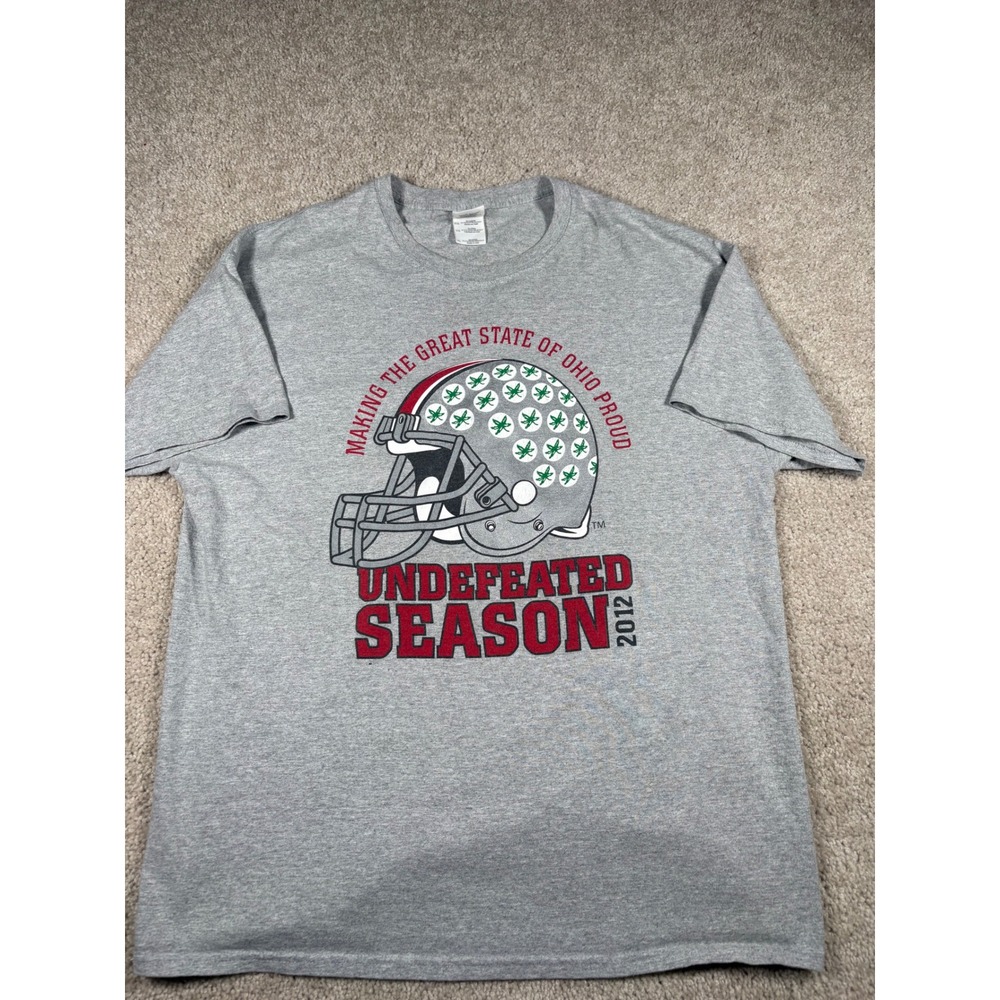 Gildan Ohio Undefeated Season 2012 Football Helmet Graphic T-Shirt Gray XL VTG
